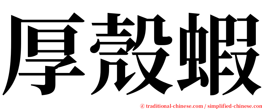 厚殼蝦 serif font
