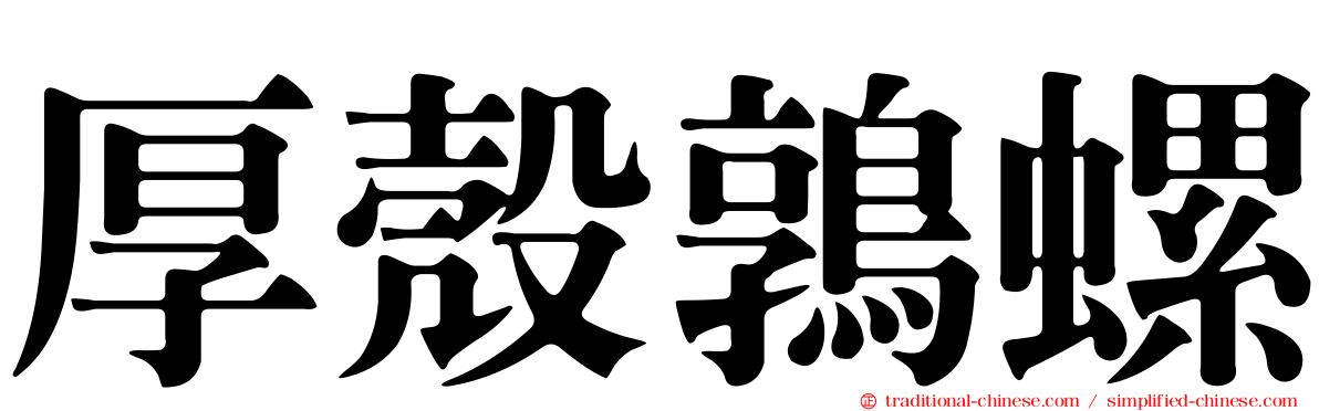 厚殼鶉螺