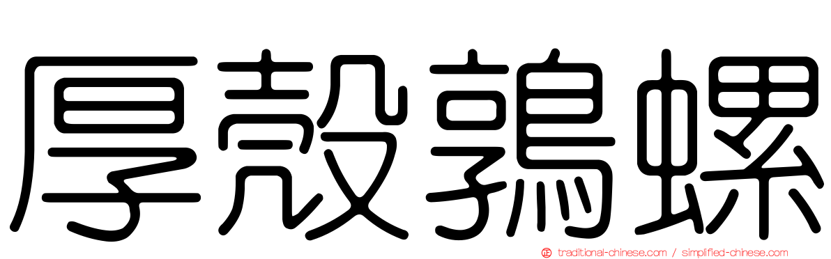厚殼鶉螺
