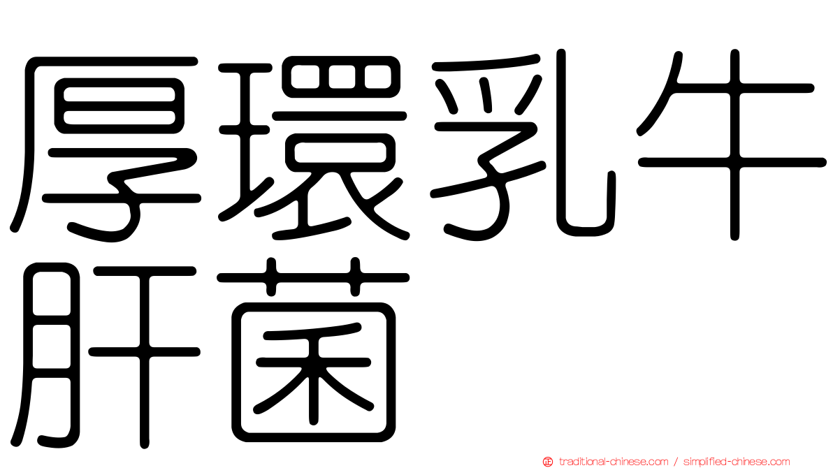 厚環乳牛肝菌