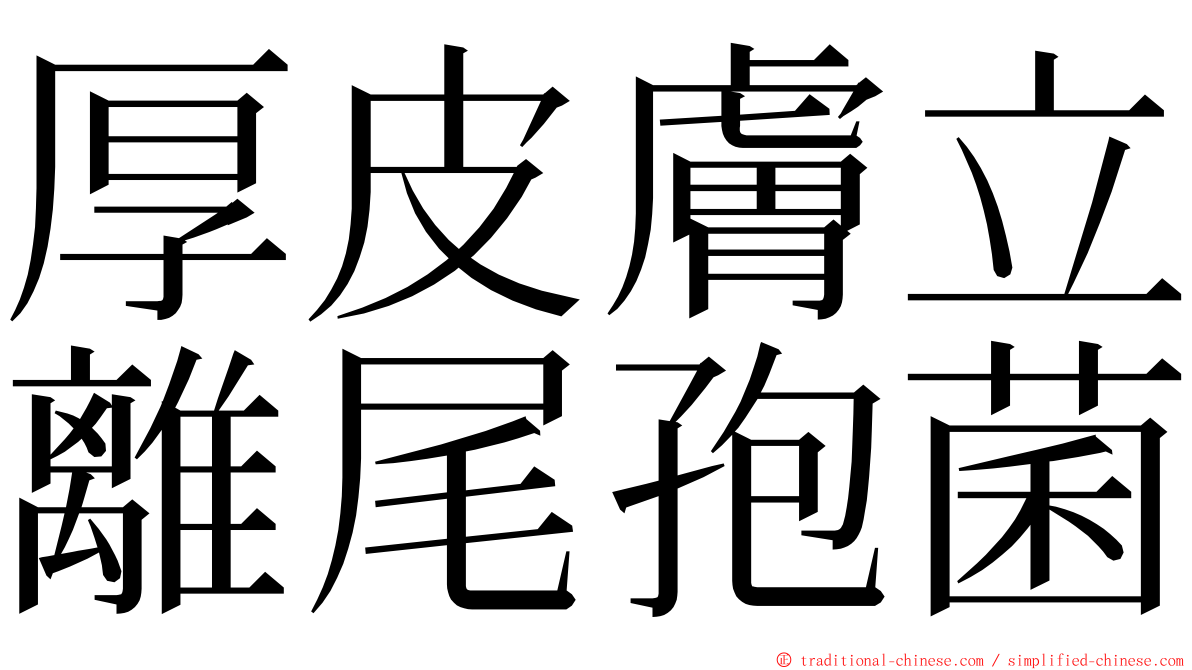 厚皮膚立離尾孢菌 ming font