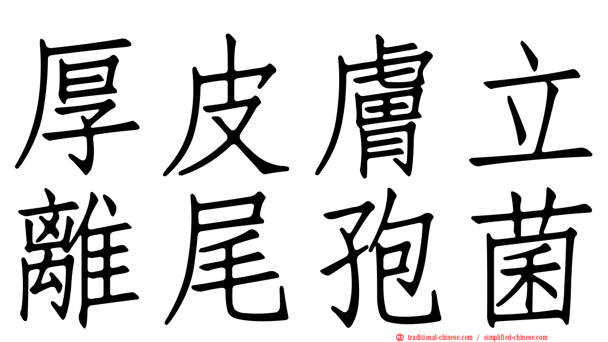 厚皮膚立離尾孢菌