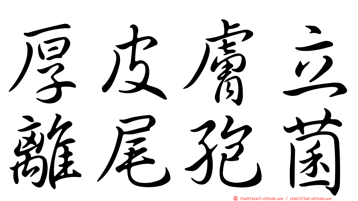 厚皮膚立離尾孢菌
