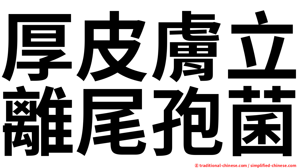 厚皮膚立離尾孢菌
