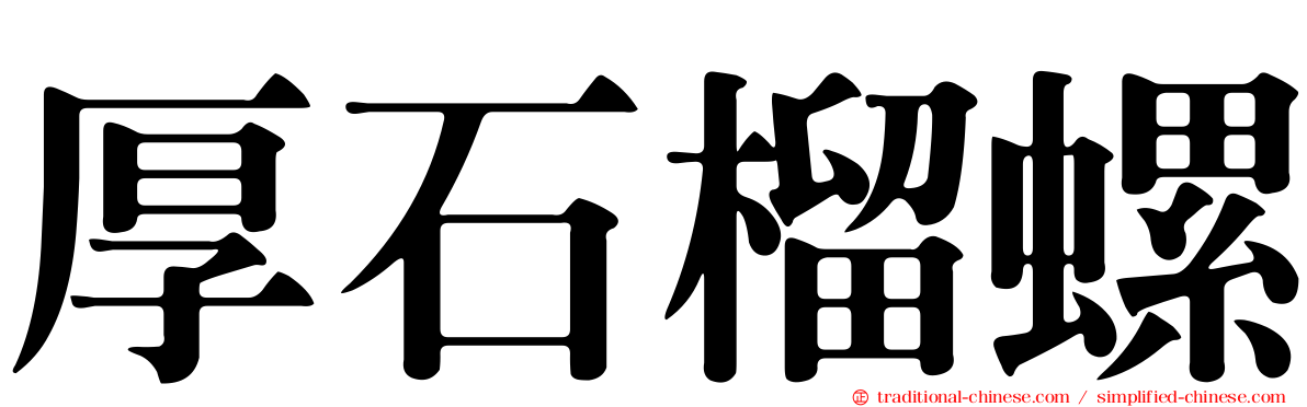 厚石榴螺