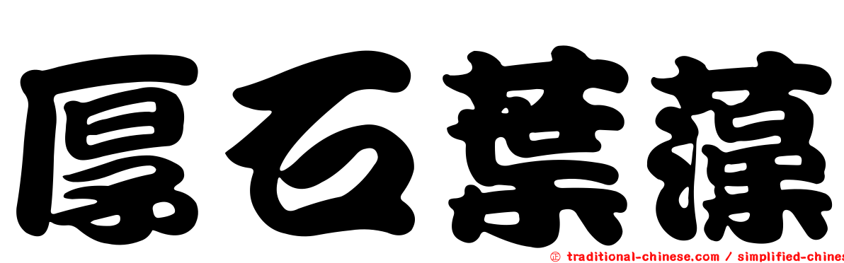 厚石葉藻