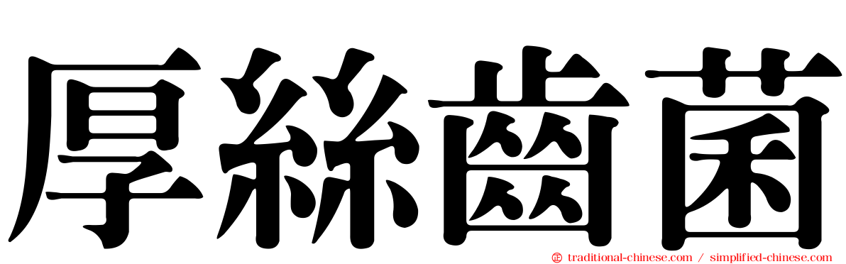 厚絲齒菌