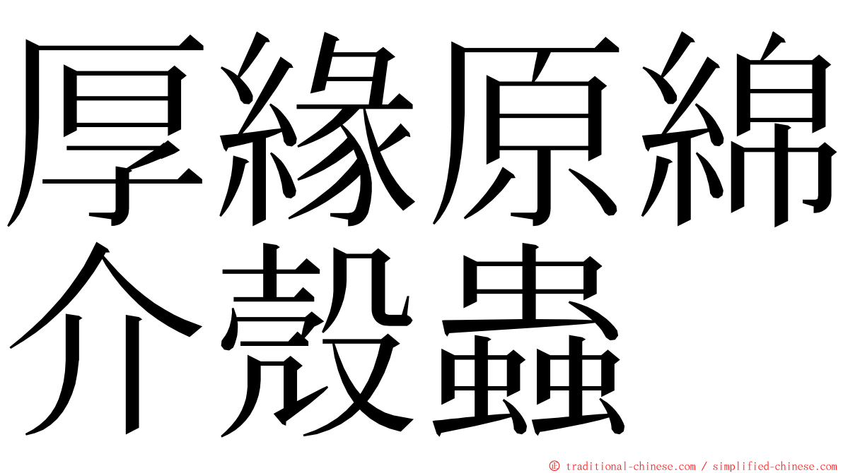 厚緣原綿介殼蟲 ming font