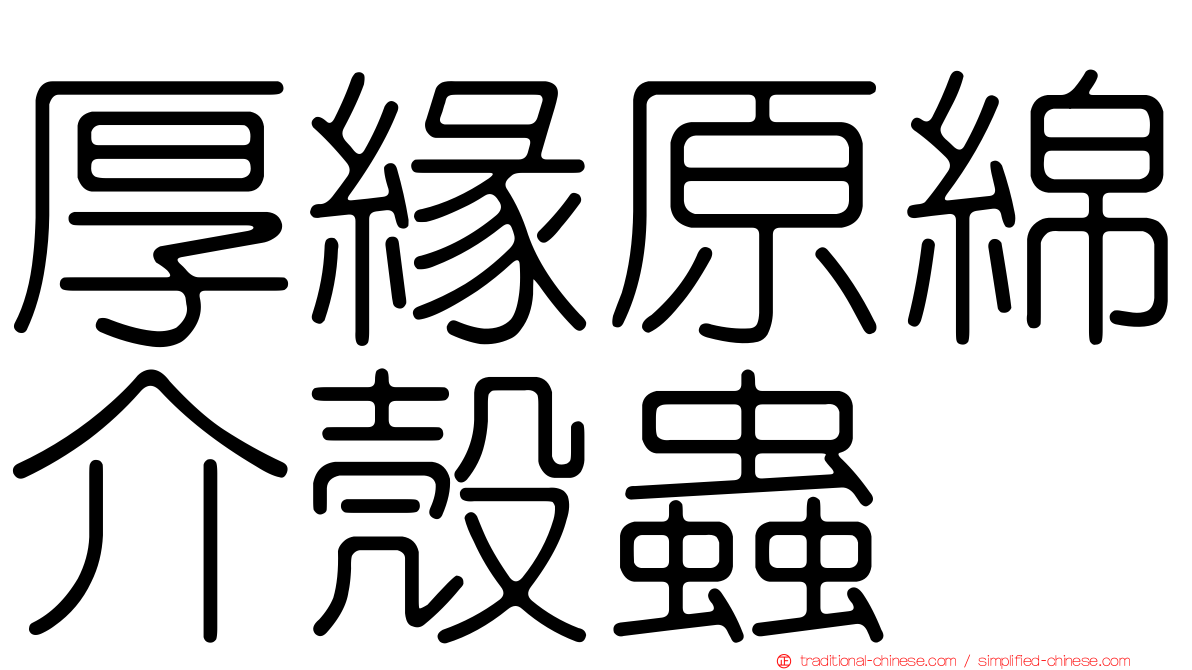 厚緣原綿介殼蟲