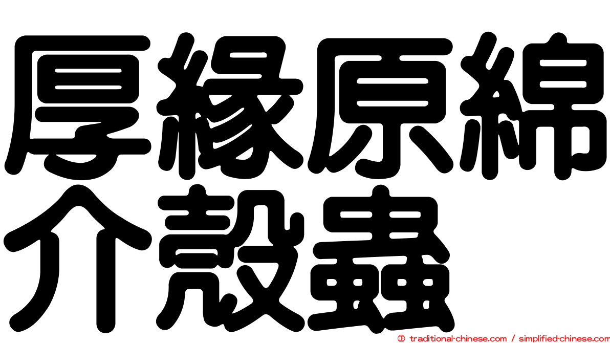 厚緣原綿介殼蟲