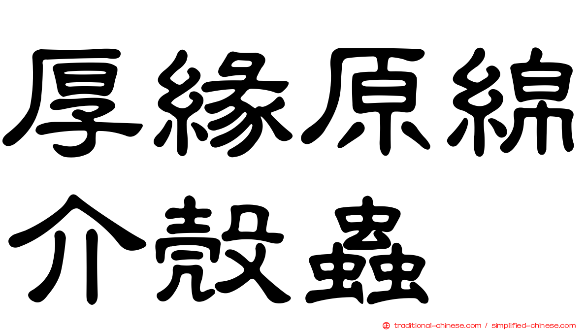 厚緣原綿介殼蟲