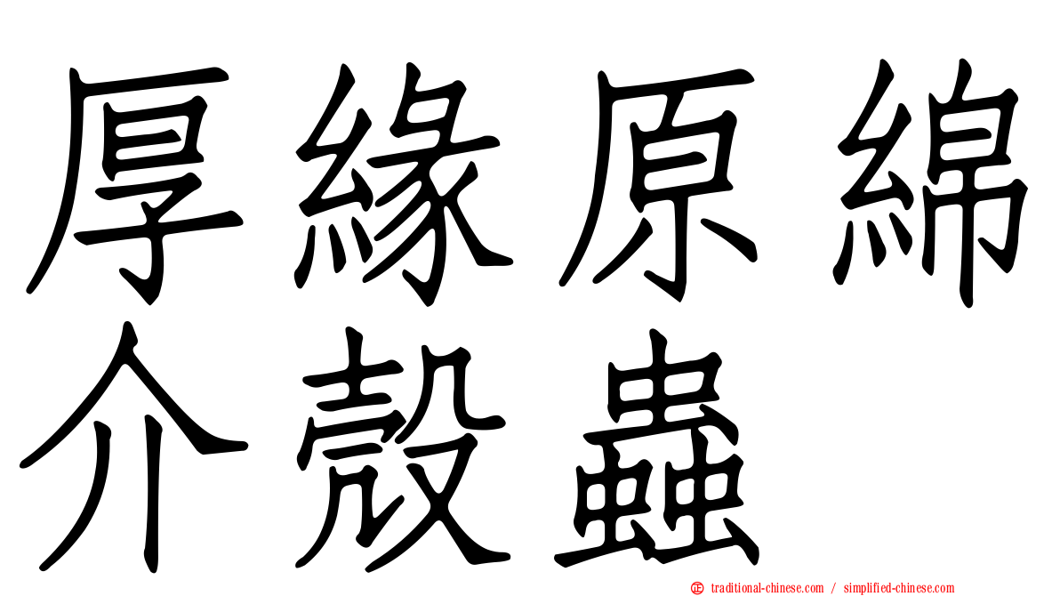 厚緣原綿介殼蟲