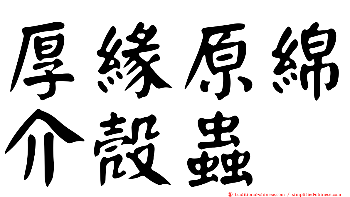 厚緣原綿介殼蟲