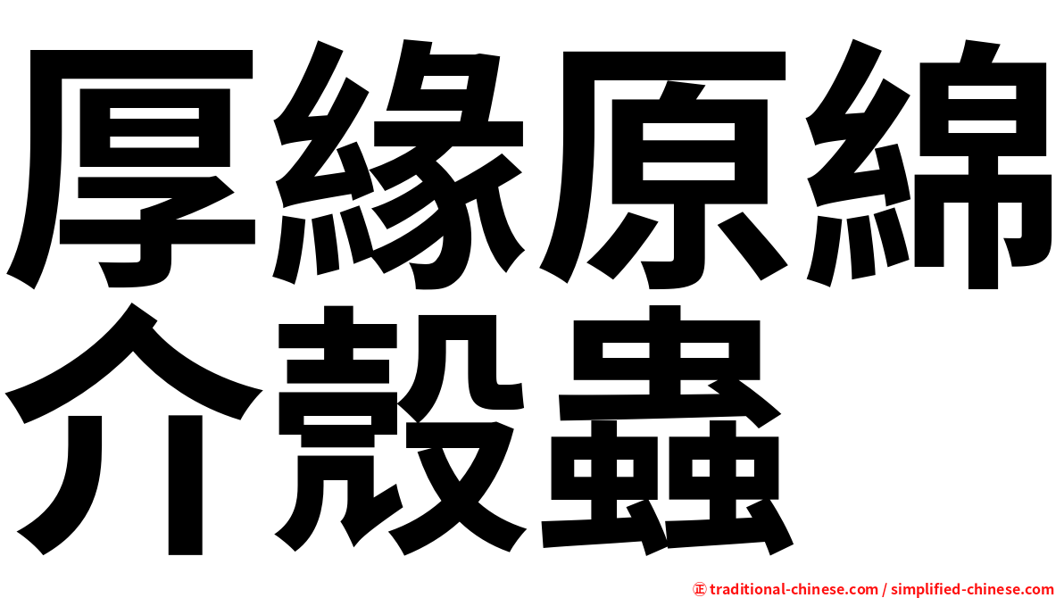 厚緣原綿介殼蟲
