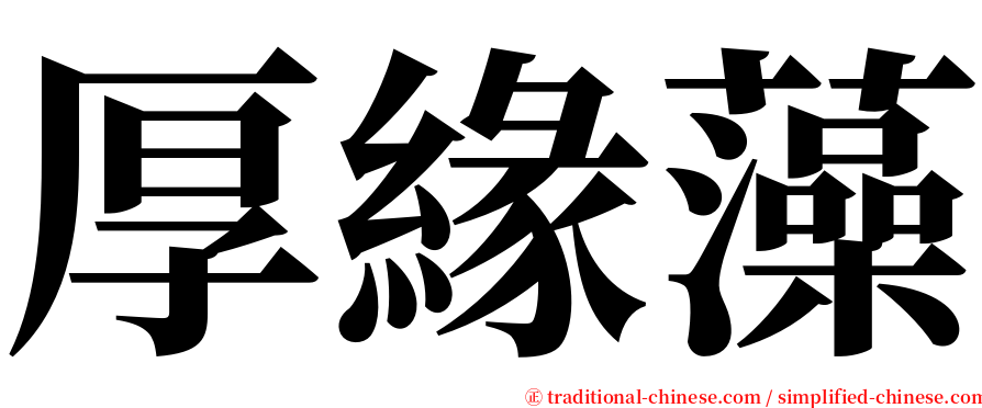 厚緣藻 serif font