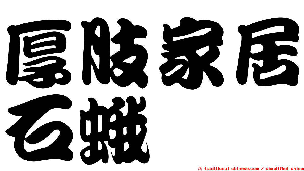 厚肢家居石蛾