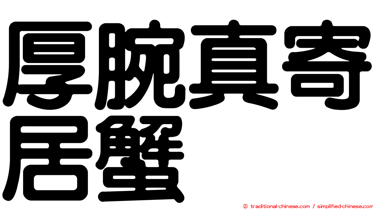 厚腕真寄居蟹