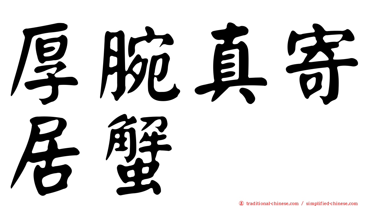 厚腕真寄居蟹