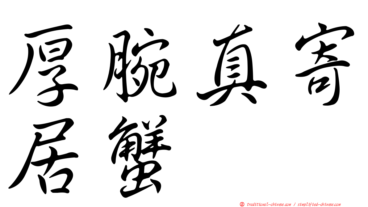厚腕真寄居蟹