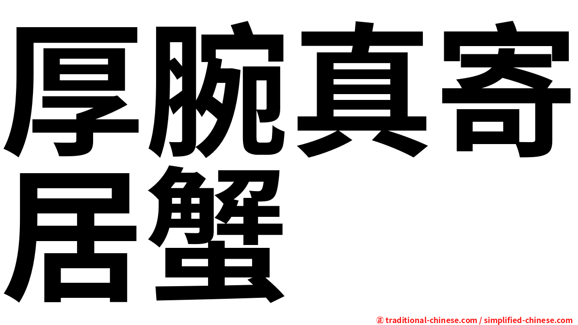 厚腕真寄居蟹