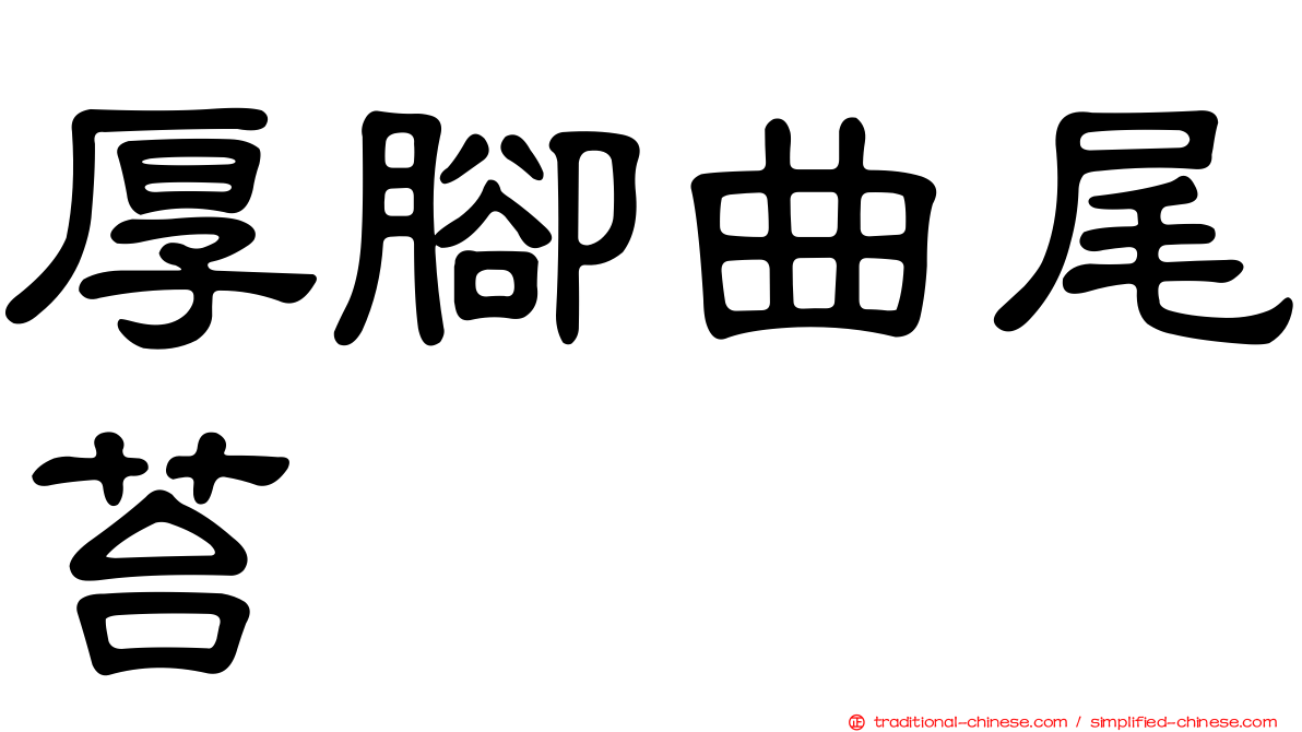 厚腳曲尾苔