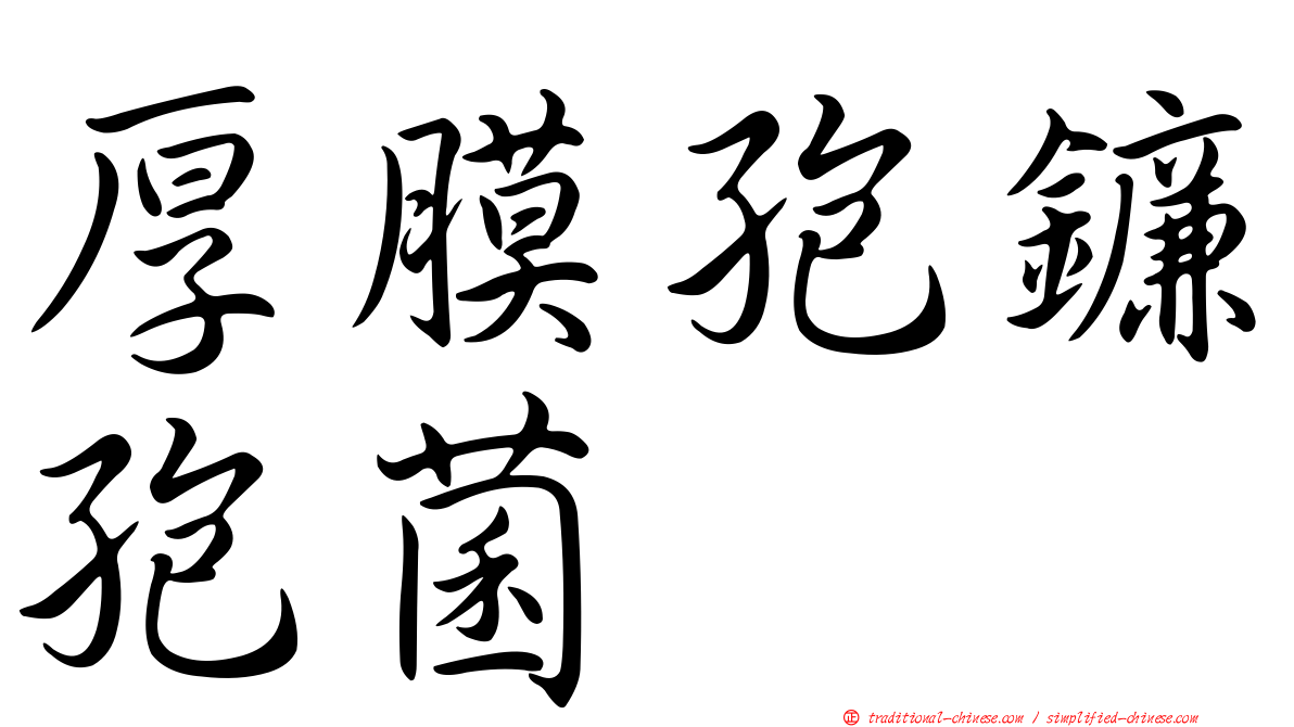 厚膜孢鐮孢菌
