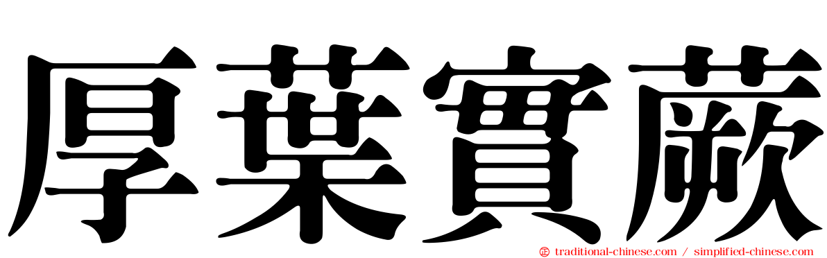 厚葉實蕨