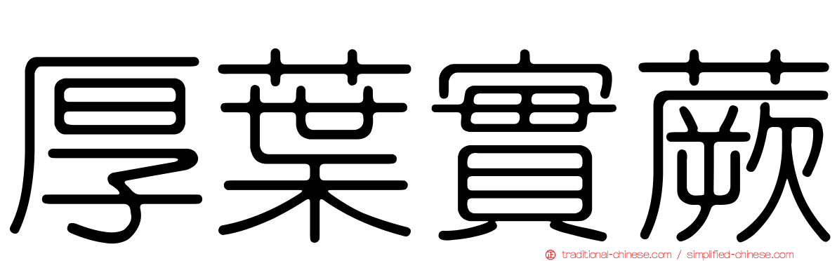 厚葉實蕨