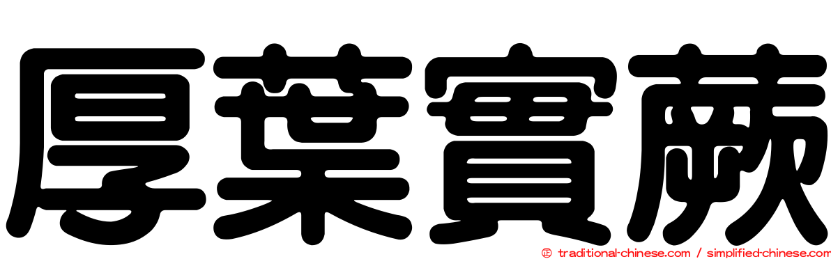厚葉實蕨
