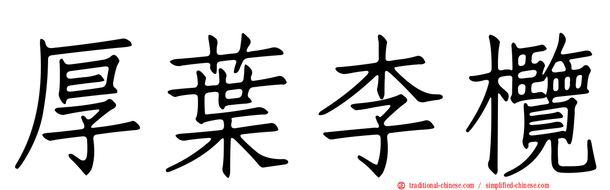 厚葉李欖