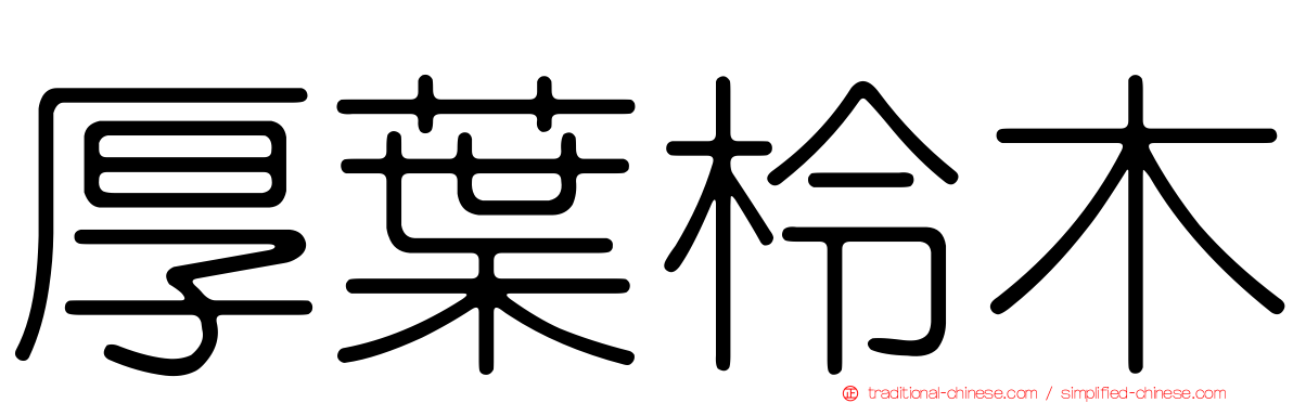 厚葉柃木