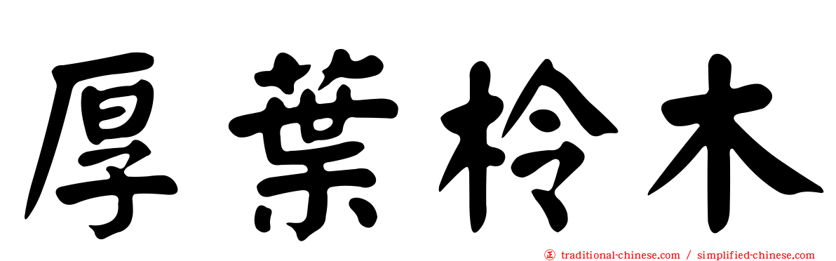 厚葉柃木
