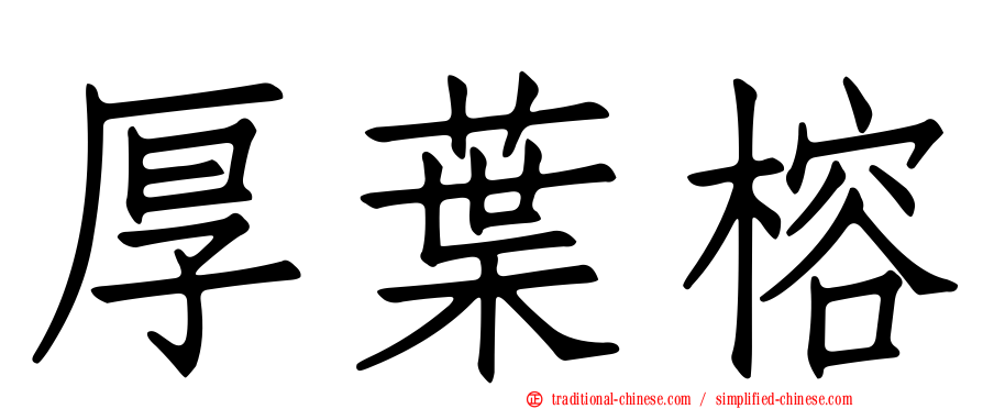 厚葉榕