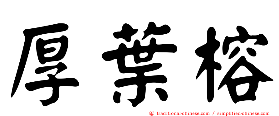 厚葉榕
