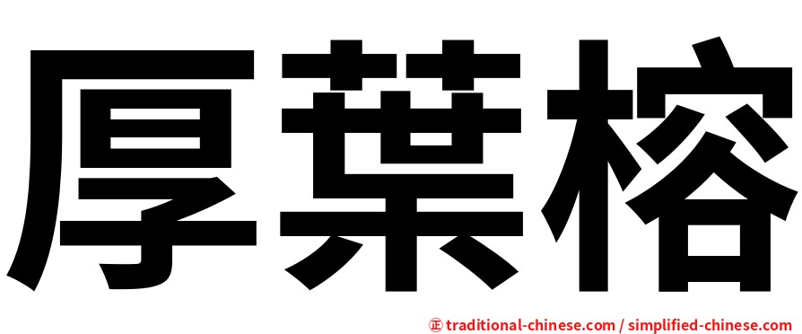 厚葉榕