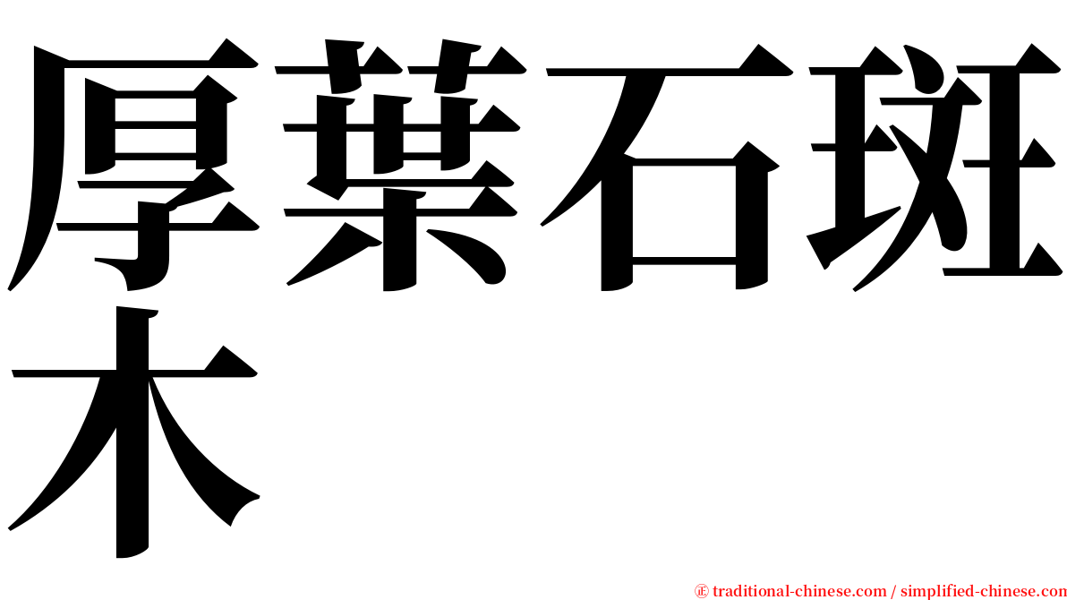 厚葉石斑木 serif font