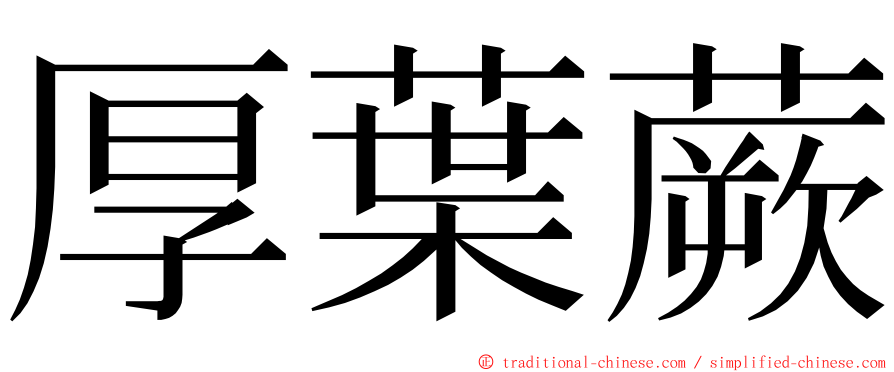 厚葉蕨 ming font