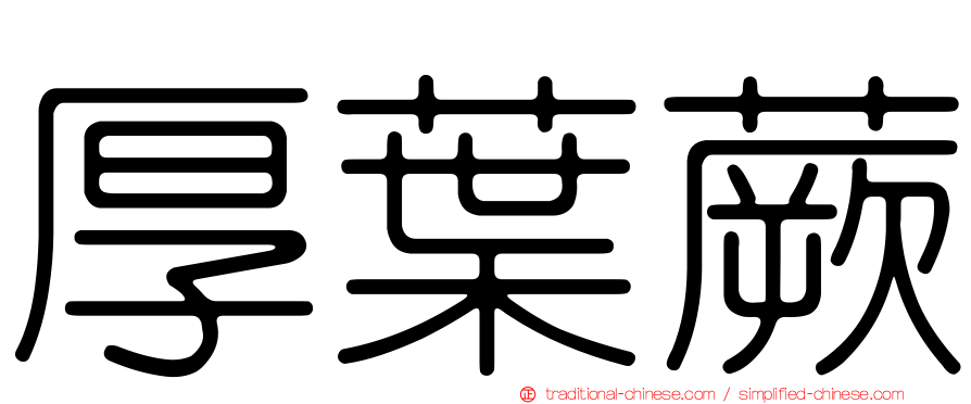 厚葉蕨