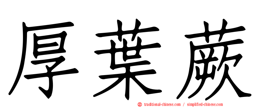 厚葉蕨