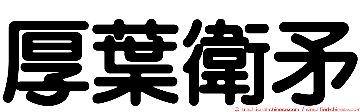 厚葉衛矛
