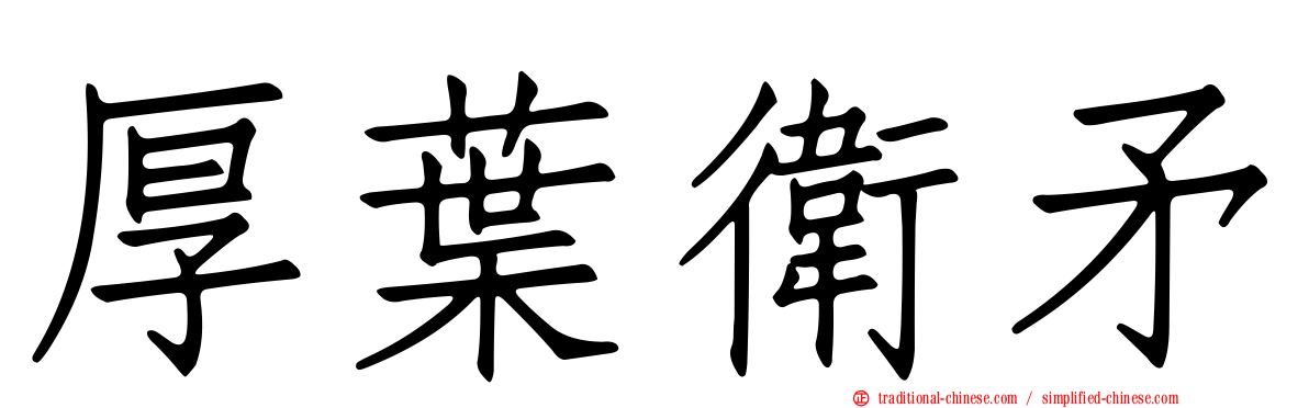 厚葉衛矛