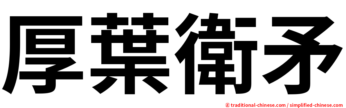 厚葉衛矛