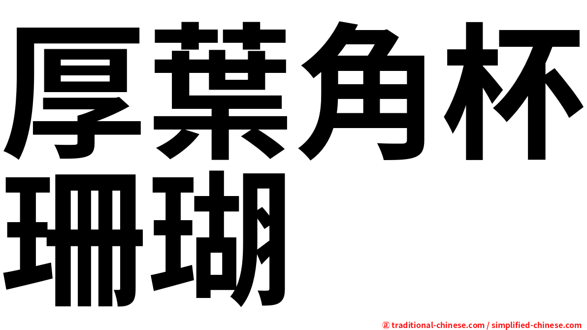 厚葉角杯珊瑚