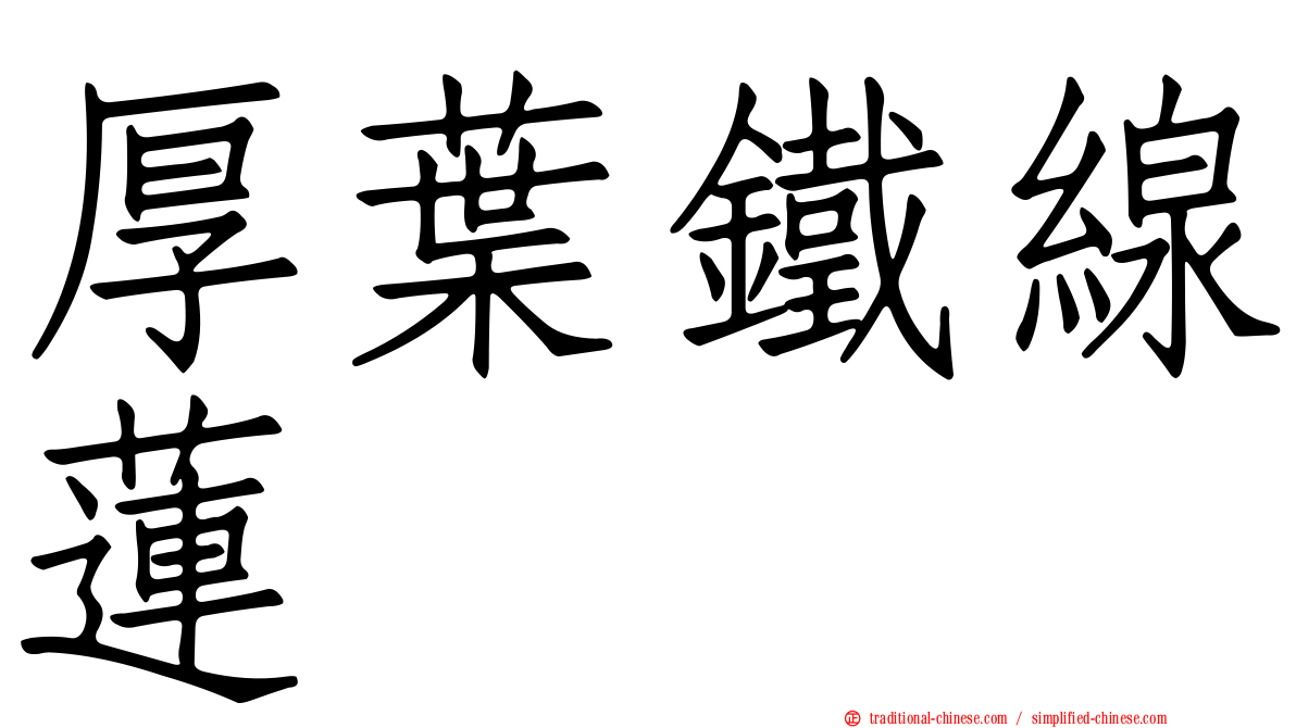 厚葉鐵線蓮