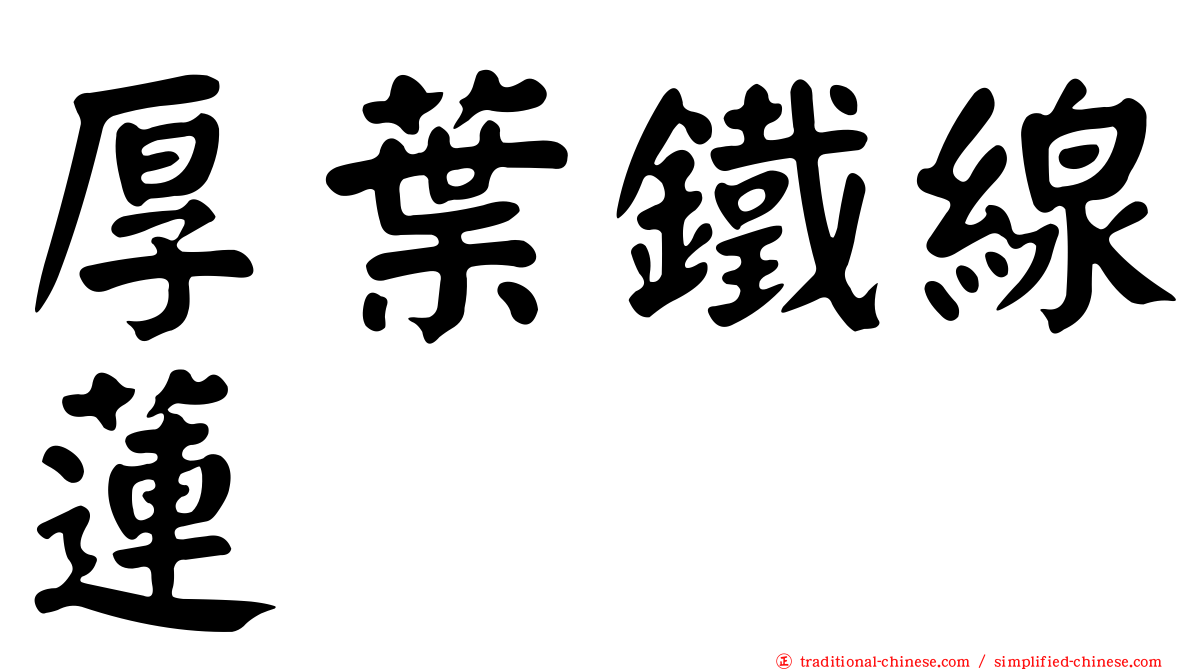 厚葉鐵線蓮