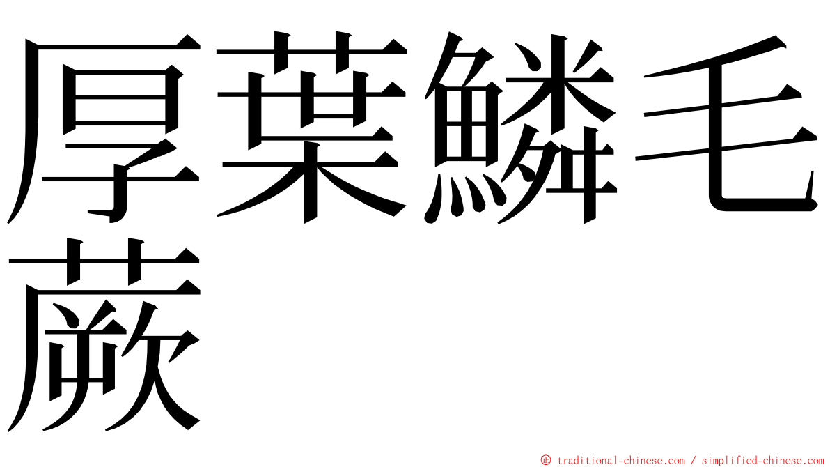 厚葉鱗毛蕨 ming font