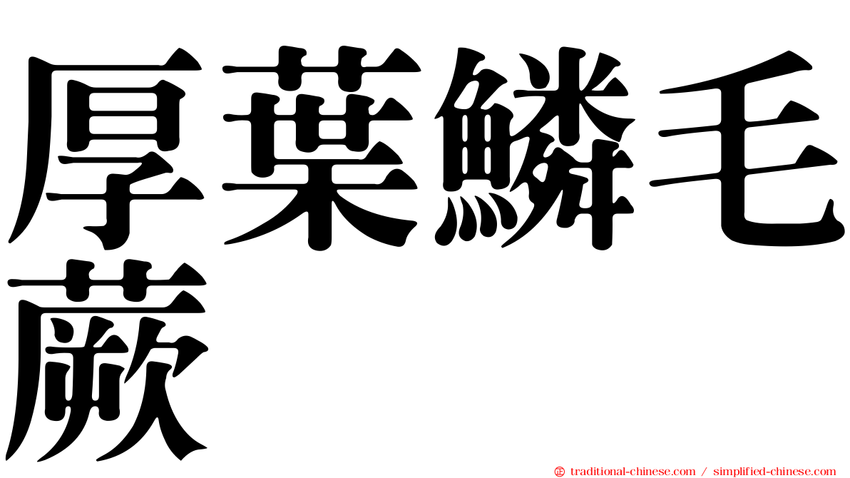 厚葉鱗毛蕨