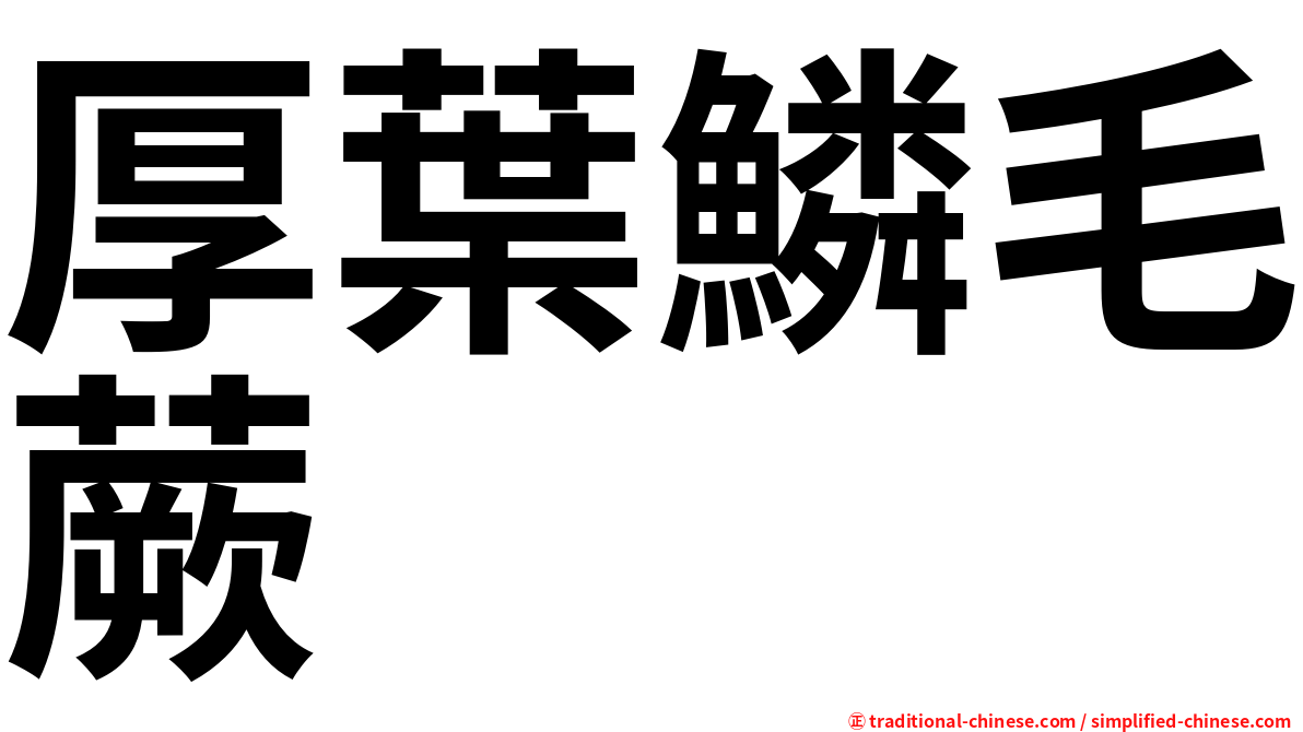 厚葉鱗毛蕨