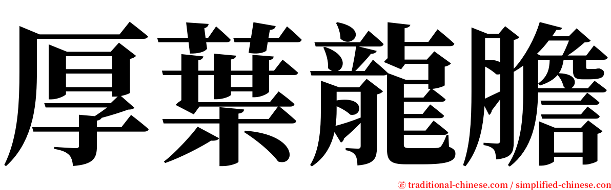 厚葉龍膽 serif font