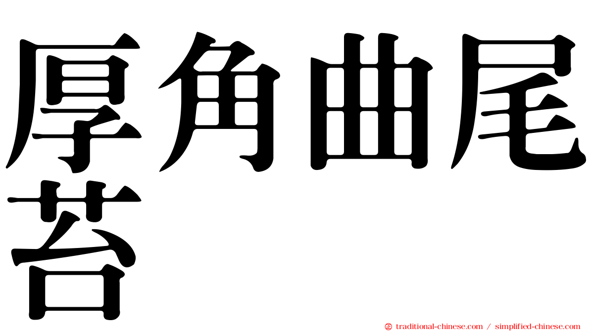 厚角曲尾苔